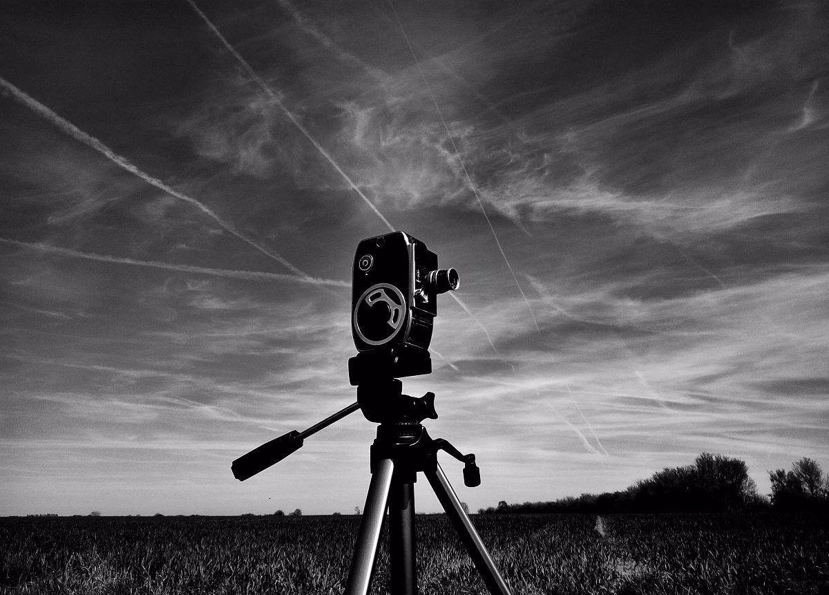 电影越拍越烂,资本或是罪魁祸首 电影越拍越烂,资本或是罪魁祸首