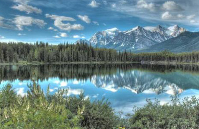 网站SEO问题集锦（七），说来就来的百度熊掌号降临尘寰！