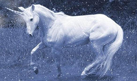 张旭豪谈独角兽公司管理方法论:管理企业就像管理一支篮球队 张旭豪谈独角兽公司管理方法论:管理企业就像管理一支篮球队