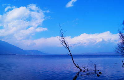 站长工具推荐系列之SEO热门工具,值得你拥有! 站长工具推荐系列之SEO热门工具,值得你拥有!