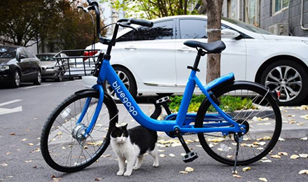 共享单车行业崩盘加速 谁为用户押金做主? 共享单车行业崩盘加速 谁为用户押金做主?