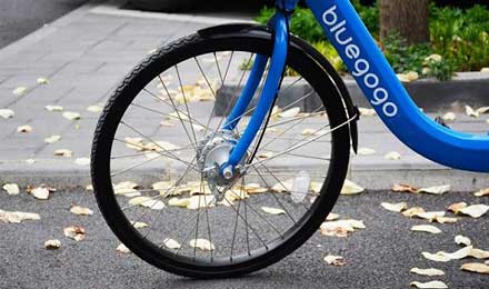 1511405909355381.jpg 0.jpg