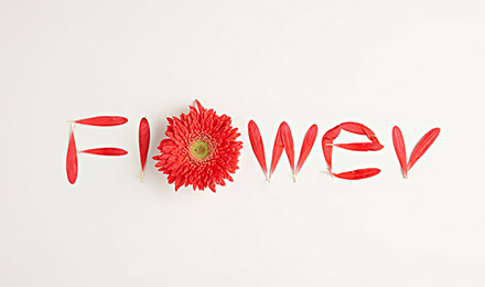 分享一个质量好上链快的友情链接,平价且性格比高 分享一个质量好上链快的友情链接,平价且性格比高