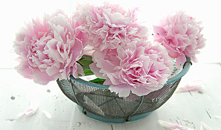 1512626262469899.jpg 1.jpg