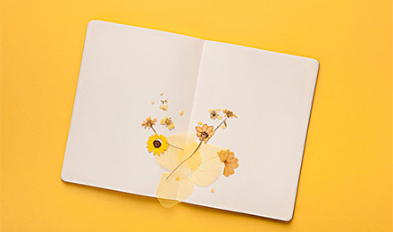 2898站长::友链购买前,先学会用站长工具查询网站情况 2898站长::友链购买前,先学会用站长工具查询网站情况