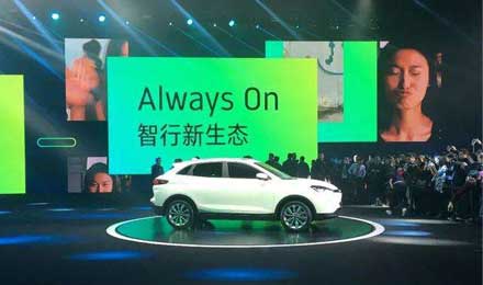 蔚来、小鹏、威马……谁才是中国特斯拉? 蔚来、小鹏、威马……谁才是中国特斯拉?