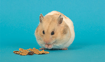 2898平台精选加盟合作网站3-5元优质链接 2898平台精选加盟合作网站3-5元优质链接