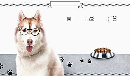 站长资源平台优质链接全部2元、有权重 站长资源平台优质链接全部2元、有权重