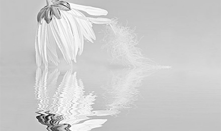 眼疾手快!这个网站黄金广告招租不超过50元一个月 眼疾手快!这个网站黄金广告招租不超过50元一个月