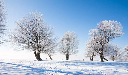 终于找到你!链接丰富和质量上乘的2898站长资源平台 终于找到你!链接丰富和质量上乘的2898站长资源平台