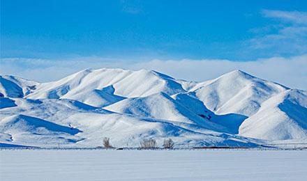 1517810736651839.jpg 12.jpg