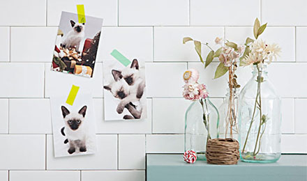 2898站长资源平台2月1-5日交易了哪些友情链接? 2898站长资源平台2月1-5日交易了哪些友情链接?