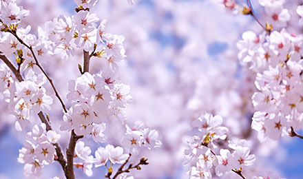 无权重流量新站上2898平台,免费互换满意友链 无权重流量新站上2898平台,免费互换满意友链