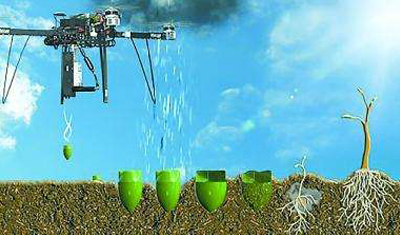 从无人机群到树木电池,科技推动全球生态环境保护 从无人机群到树木电池,科技推动全球生态环境保护