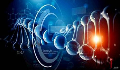 孝道健康,大健康行业的领跑者 孝道健康,大健康行业的领跑者