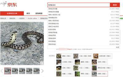 邮寄活体动物属违法:女子网购银环蛇被咬伤后脑死亡 邮寄活体动物属违法:女子网购银环蛇被咬伤后脑死亡