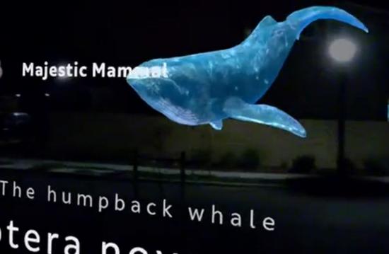 1538203486704879.jpg mAaJ-hhuhisn5271319.jpg