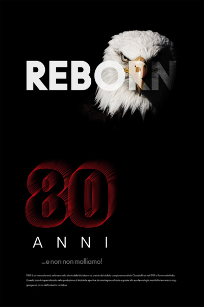 全球十大顶级自行车品牌排行榜FRW辐轮王引爆京东双十一 全球十大顶级自行车品牌排行榜FRW辐轮王引爆京东双十一