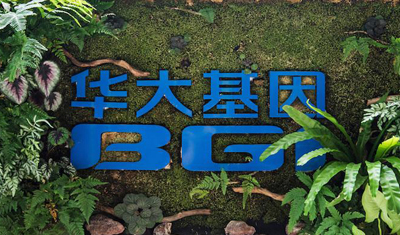 华大基因:违规项目三年前即停止 华大基因:违规项目三年前即停止