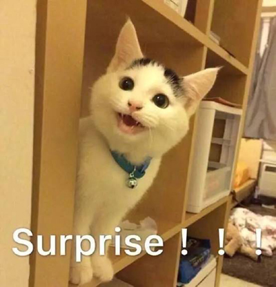 1545792716733865.jpg 3.jpg