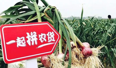 2019再看拼多多:还原一个消费分层的真相 2019再看拼多多:还原一个消费分层的真相