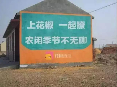 互联网公司为下乡真的拼了:土味刷墙广告 互联网公司为下乡真的拼了:土味刷墙广告