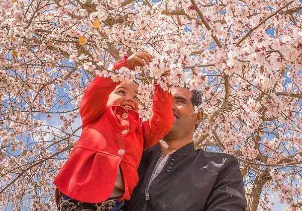 1553739522129378.jpg 3_20190328101710.jpg