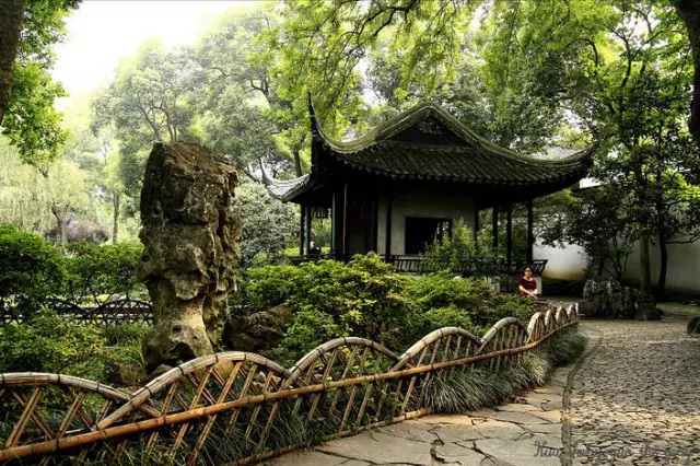 1554880319536964.jpg 640.webp (1).jpg