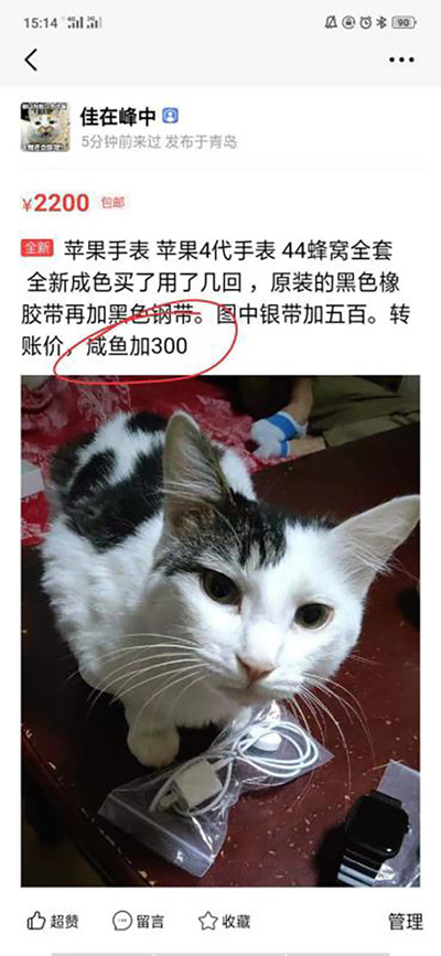 男子网购二手Apple Watch,竟收到4个苹果1块普通表 男子网购二手Apple Watch,竟收到4个苹果1块普通表