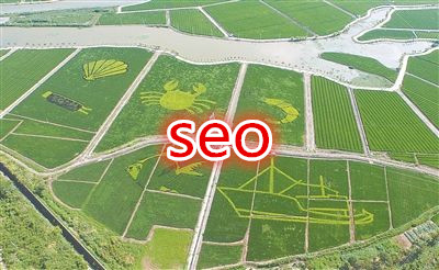 1567236238355903.jpg 1.1.jpg