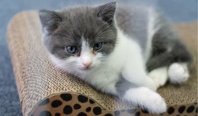 1569824361215598.jpg 0 副本.jpg