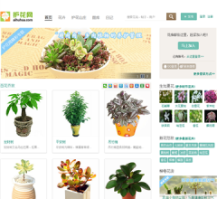 花卉网