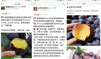 实操分享：小白轻松月入10000+的闲鱼玩法