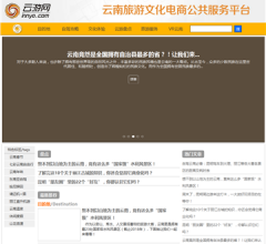 云游网