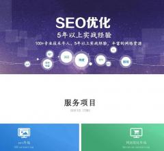东莞seo优化
