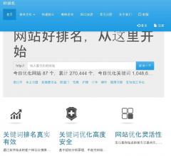 网站优化