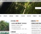 中国花木网资讯