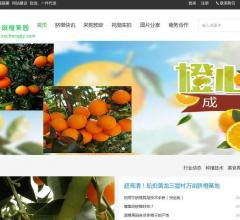 溆橙果园-脐橙批发