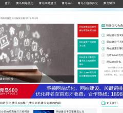 青岛网站优化