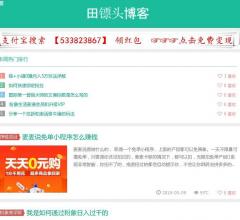 田镖头博客