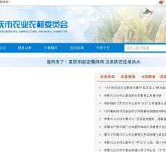 从事电子商务领域经营，电子商务研究开发，