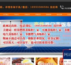 醇基燃料蒸饭柜