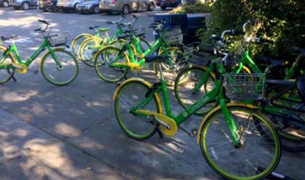 美国共享单车Limebike预计明年收入超过1亿美元