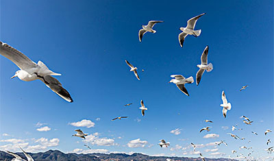 2898站长为迎端午“小”长假,特推出合作旅游站点 2898站长为迎端午“小”长假,特推出合作旅游站点