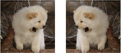 谷歌放大招：数据增强实现自动化