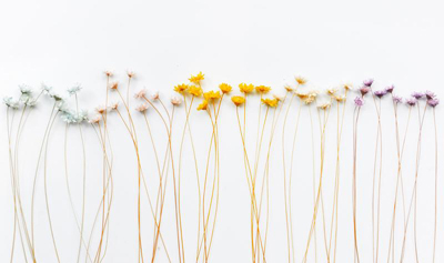 长沙花艺培训学校:花说她说花艺教你如何挑选插花素材! 长沙花艺培训学校:花说她说花艺教你如何挑选插花素材!