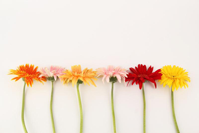长沙花艺培训学校:花说她说花艺教你如何挑选插花素材! 长沙花艺培训学校:花说她说花艺教你如何挑选插花素材!