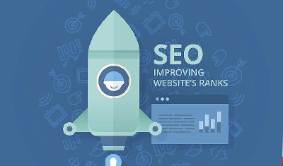 2898站长资源平台：加快网站收录的技巧