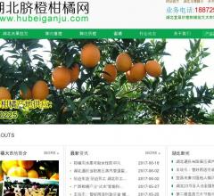 湖北柑橘网