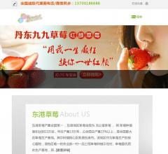 东港99草莓|丹东九九草莓|草